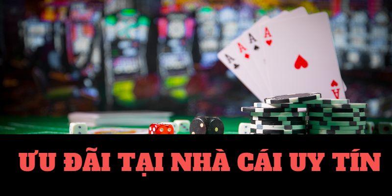 vip79-Sống động và hấp dẫn: Trực tiếp bóng đá! vip79-Sống động và hấp dẫn: Trực tiếp bóng đá!