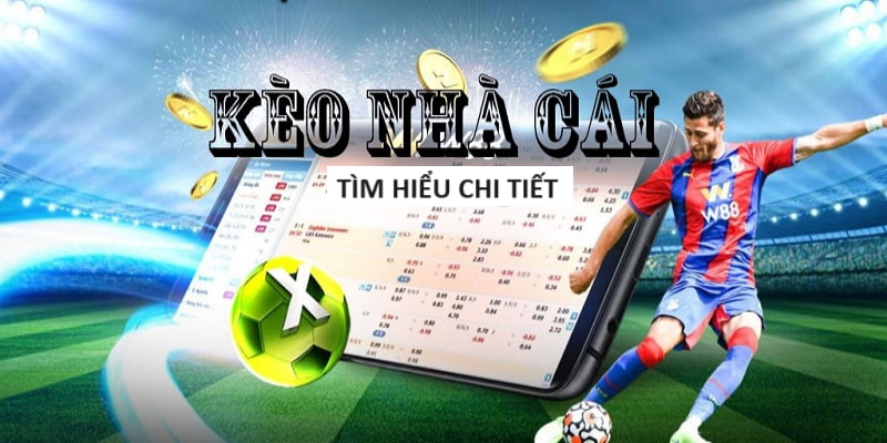 Tổng hợp những khuyến mãi hoàn trả tiền cược tại MOSTBET Tổng hợp những khuyến mãi hoàn trả tiền cược tại MOSTBET